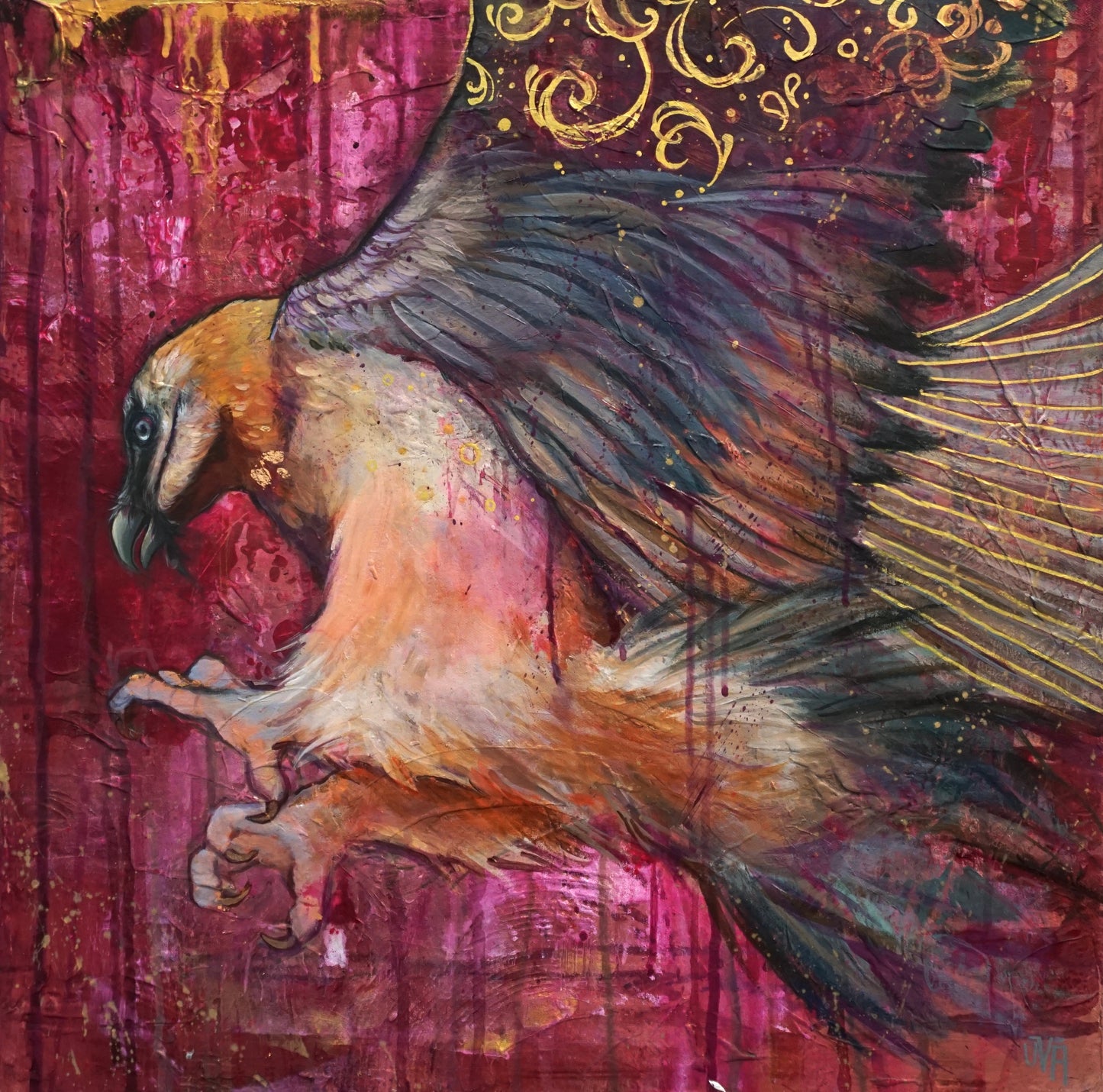 Bearded Vulture
