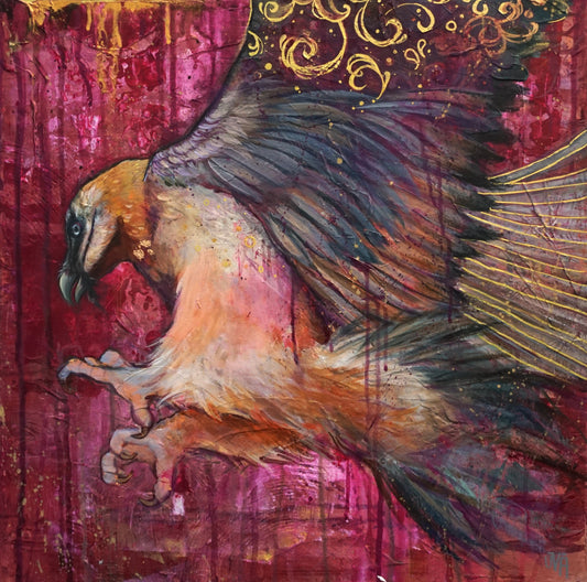 Bearded Vulture