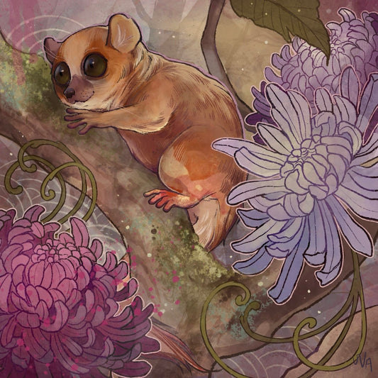 Mouse Lemur